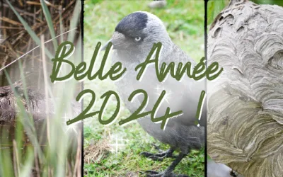 Belle Année 2024 !