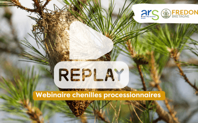 Replay – Webinaire d&rsquo;informations sur les chenilles processionnaires